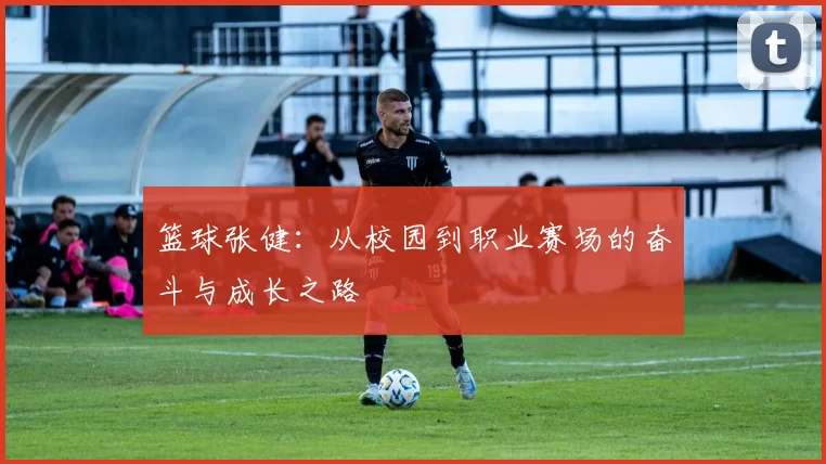 篮球张健：从校园到职业赛场的奋斗与成长之路