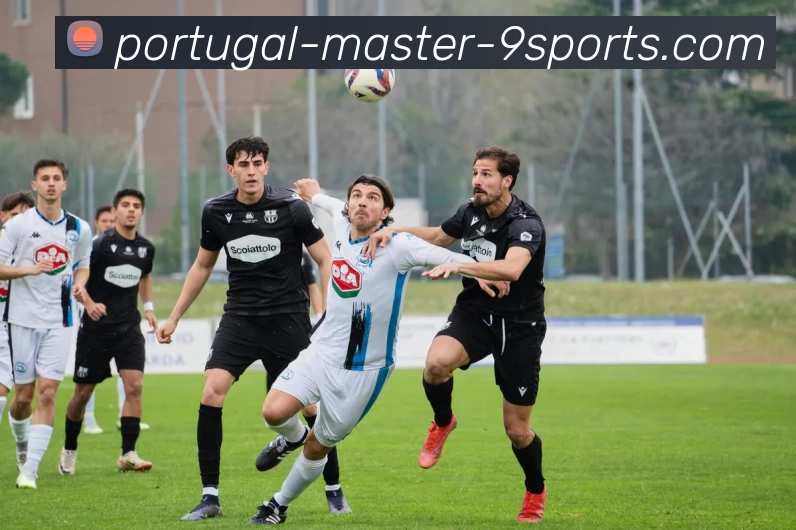 九游体育平台生态图